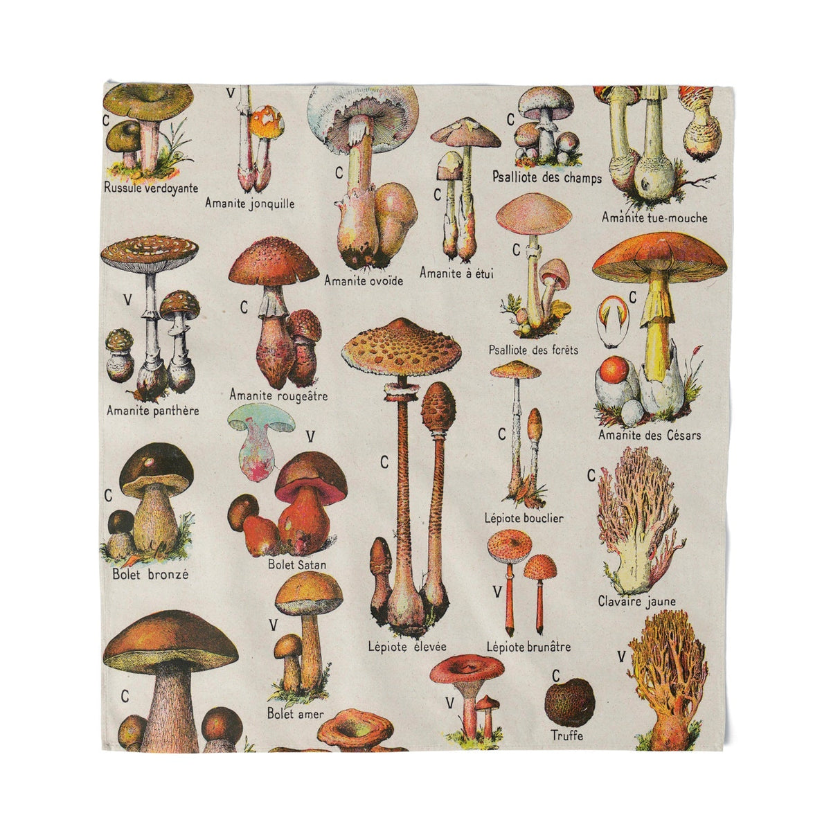 Vintage Mushroom Bandana