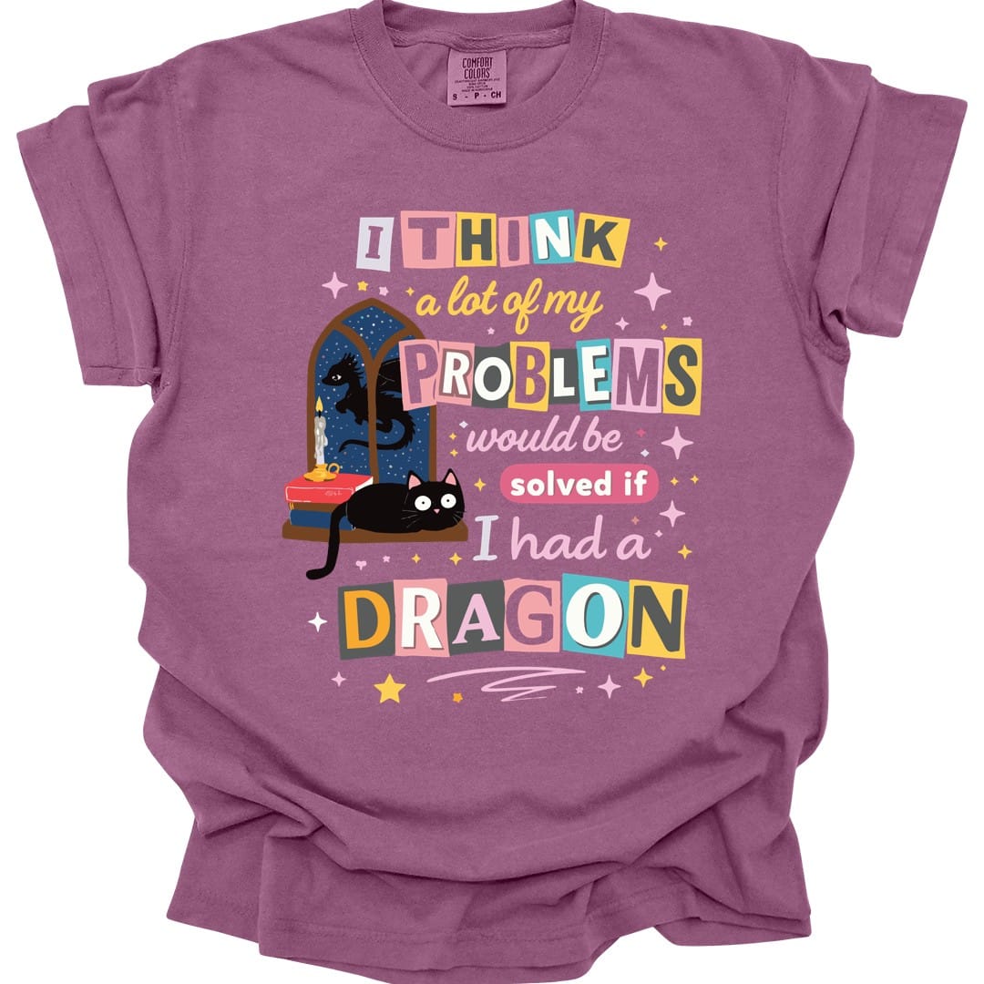 A Lot Of My Problems Would Be Solved If I Had A Dragon T-Shirt - Comfort Colors